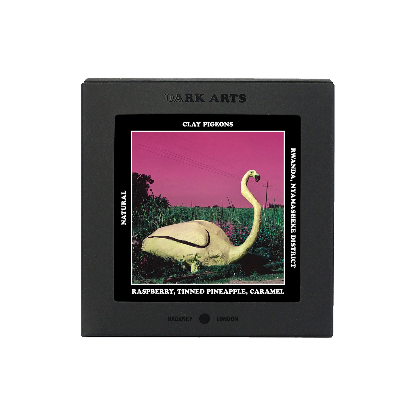 CLAY PIGEONS - Rwanda