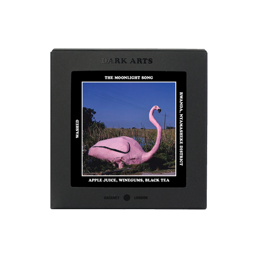 THE MOONLIGHT SONG - Rwanda