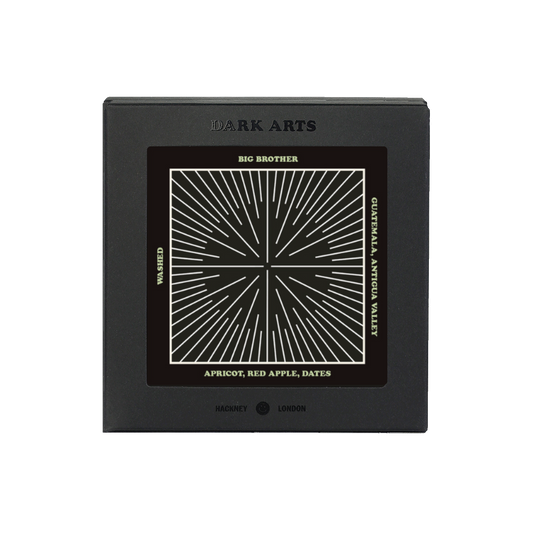 BIG BROTHER - Guatemala